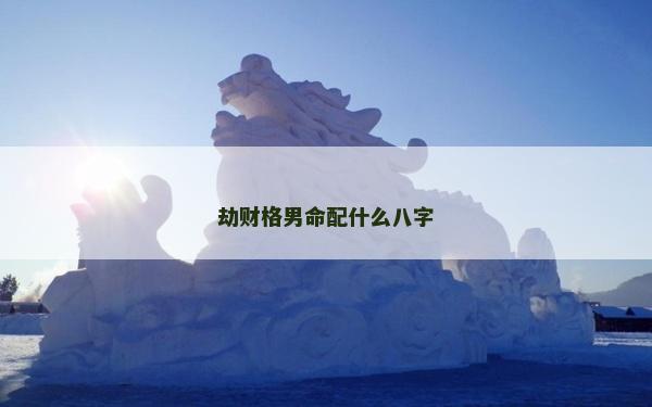 劫財格男命配什么八字