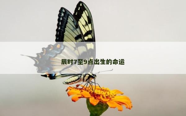 辰時7至9點出生的命運