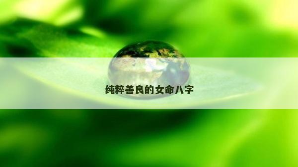 純粹善良的女命八字