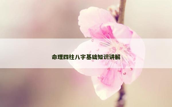 命理四柱八字基礎知識講解