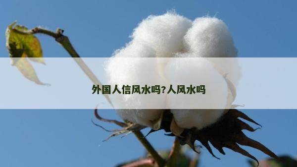 外國人信風水嗎?人風水嗎