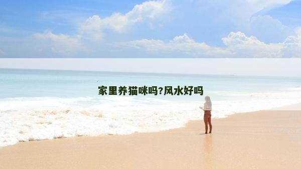 家里養(yǎng)貓咪嗎?風水好嗎