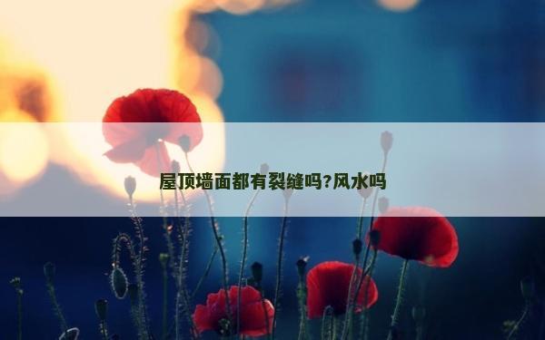 屋頂墻面都有裂縫嗎?風(fēng)水嗎