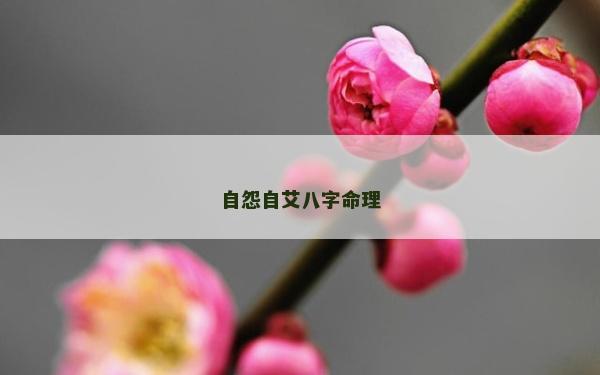 自怨自艾八字命理