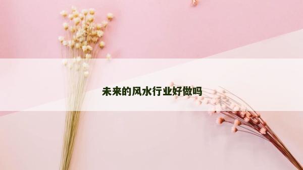 未來的風(fēng)水行業(yè)好做嗎