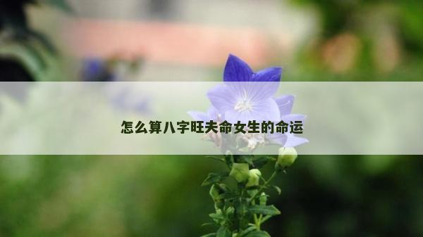 怎么算八字旺夫命女生的命運
