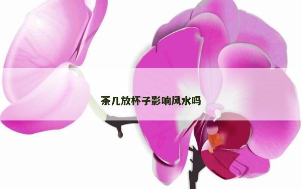 茶幾放杯子影響風水嗎