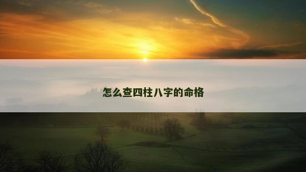 怎么查四柱八字的命格