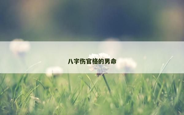 八字傷官格的男命