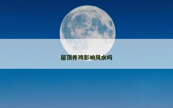 屋頂養雞影響風水嗎