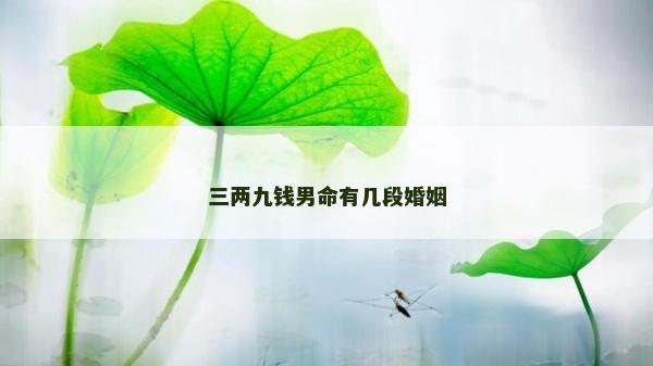 三兩九錢男命有幾段婚姻