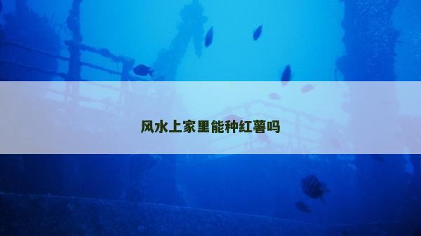 風水上家里能種紅薯嗎