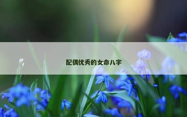 配偶優(yōu)秀的女命八字