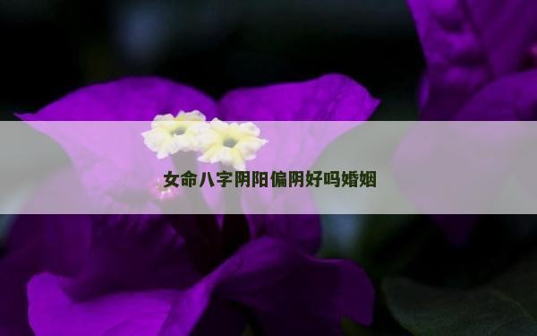 女命八字陰陽(yáng)偏陰好嗎婚姻