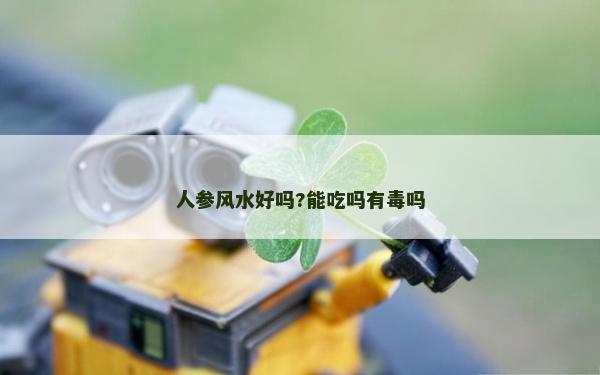 人參風水好嗎?能吃嗎有毒嗎