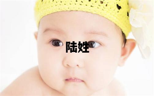 陸姓有含義的男孩名字,取什么名字好