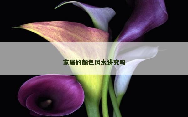家居的顏色風水講究嗎