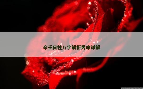 辛壬日柱八字解析男命詳解