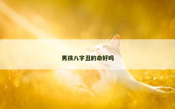 男孩八字丑的命好嗎