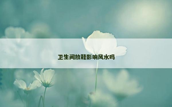 衛生間放鞋影響風水嗎