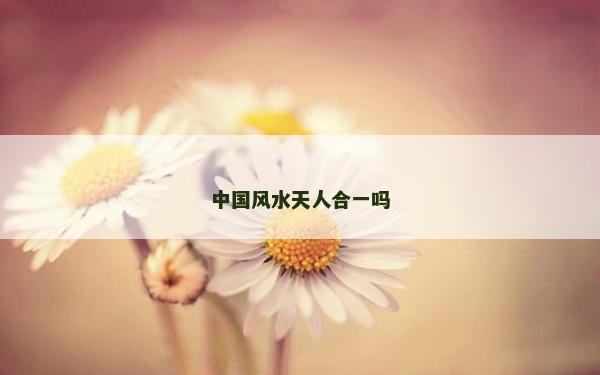 中國風水天人合一嗎