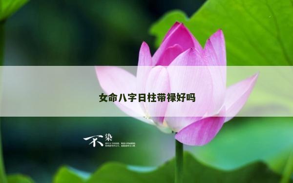 女命八字日柱帶祿好嗎