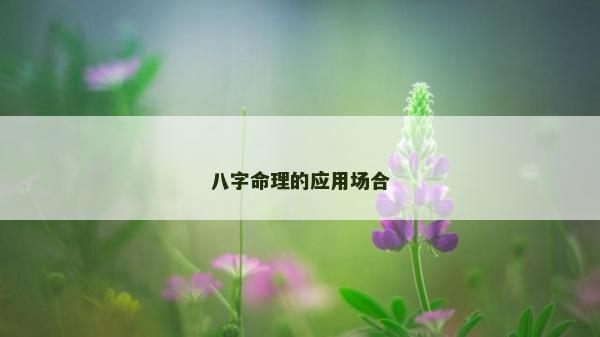 八字命理的應用場合