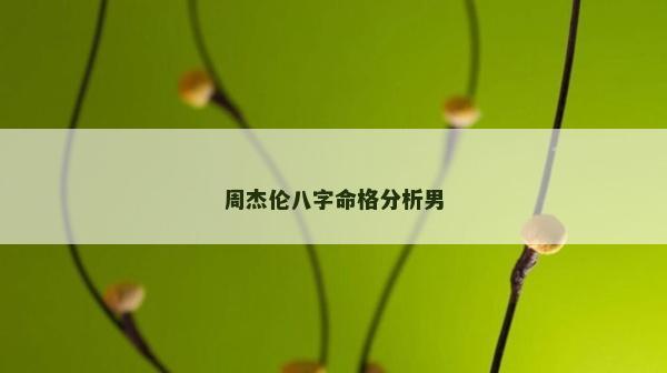 周杰倫八字命格分析男