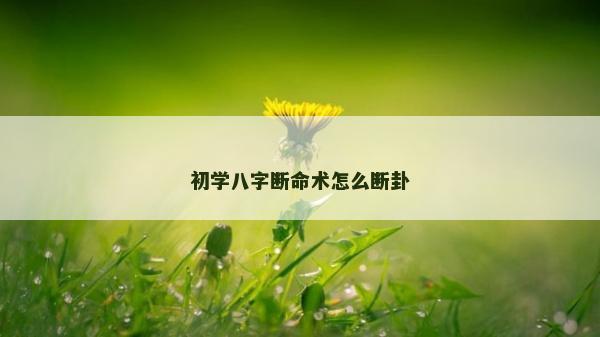 初學八字斷命術怎么斷卦