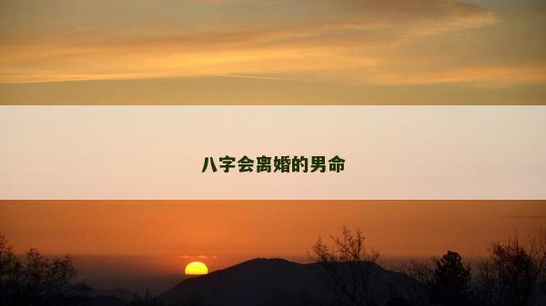 八字會離婚的男命