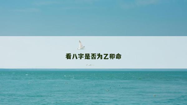 看八字是否為乙卯命