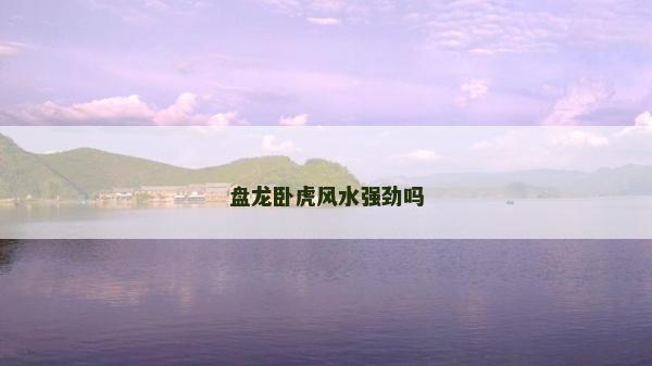 盤龍臥虎風(fēng)水強(qiáng)勁嗎
