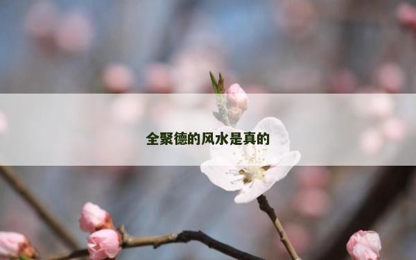 全聚德的風(fēng)水是真的