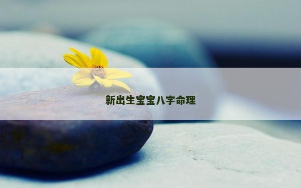 新出生寶寶八字命理