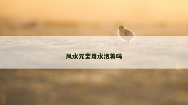 風水元寶用水泡著嗎