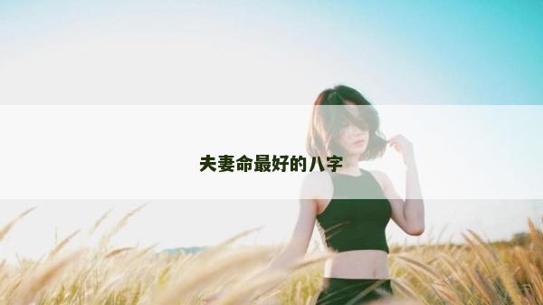 夫妻命最好的八字