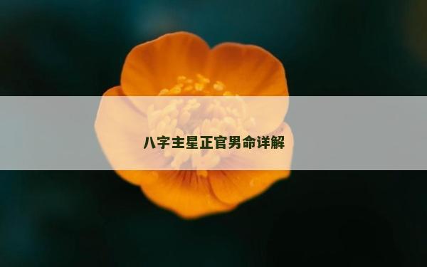 八字主星正官男命詳解 八字主星正官男命詳解