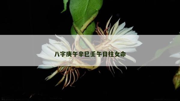 八字庚午辛巳壬午日柱女命