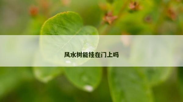 風(fēng)水樹能掛在門上嗎 風(fēng)水樹能掛在門上嗎