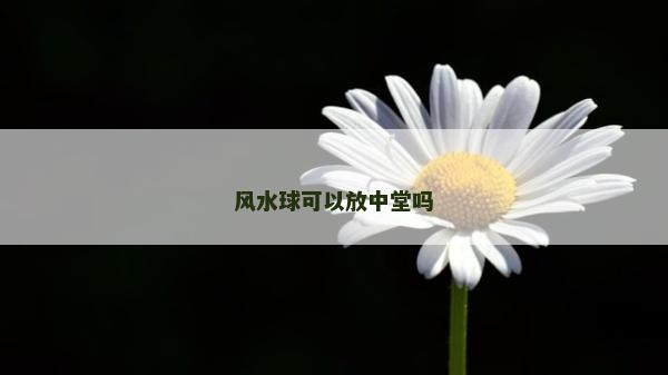風水球可以放中堂嗎