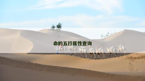 命的五行屬性查詢