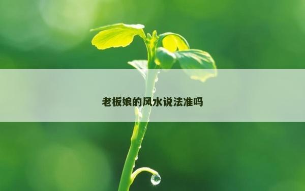 老板娘的風水說法準嗎