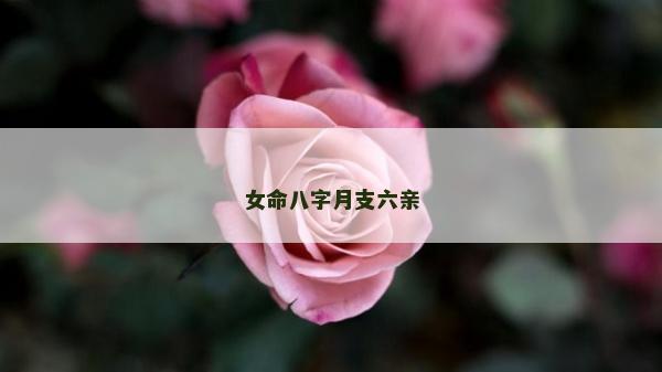 女命八字月支六親