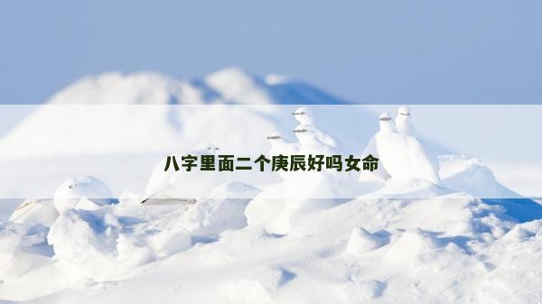 八字里面二個庚辰好嗎女命