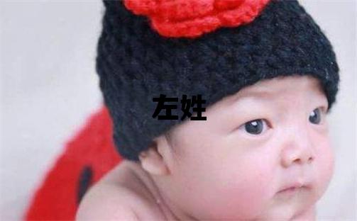 左姓有新意的男孩名字