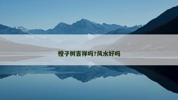 橙子樹吉祥嗎?風水好嗎 橙子樹吉祥嗎?風水好嗎