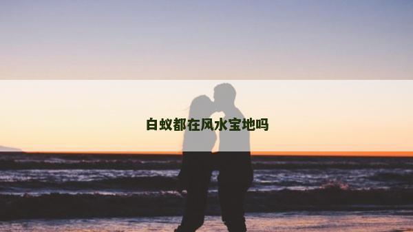 白蟻都在風(fēng)水寶地嗎