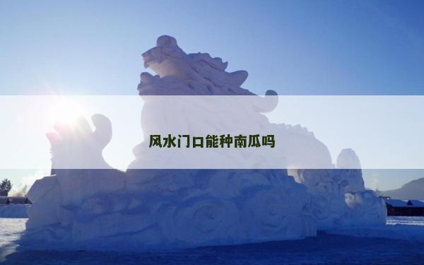 風水門口能種南瓜嗎 風水門口能種南瓜嗎