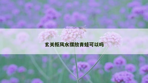 玄關柜風水擺放青蛙可以嗎