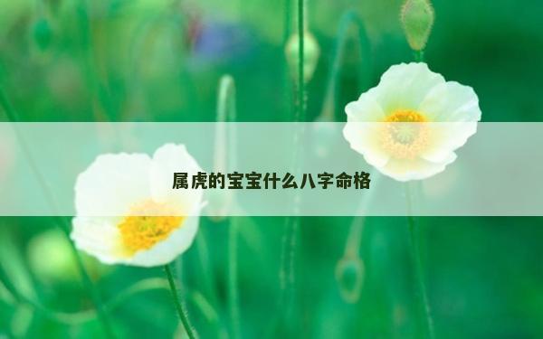 屬虎的寶寶什么八字命格